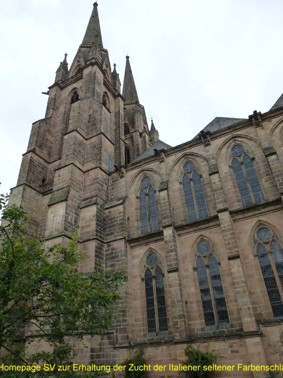 P1020306