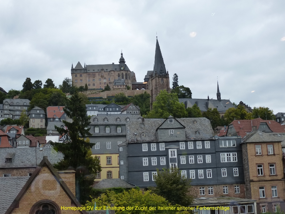 P1020315