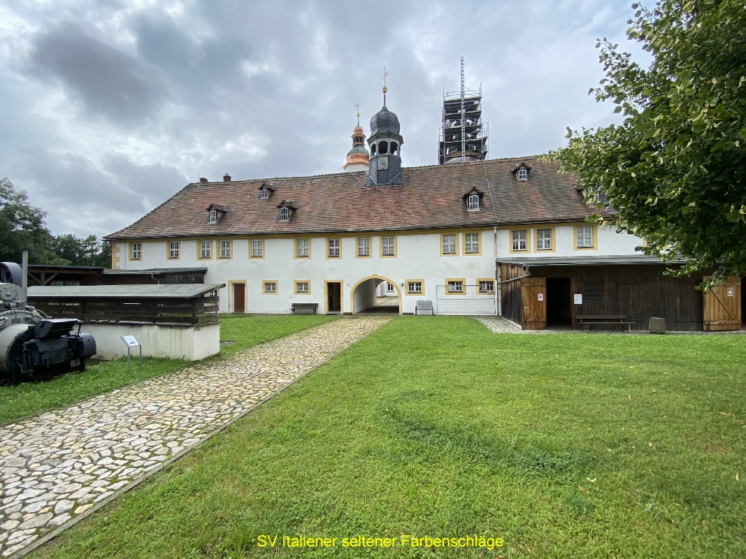 IMG-1064