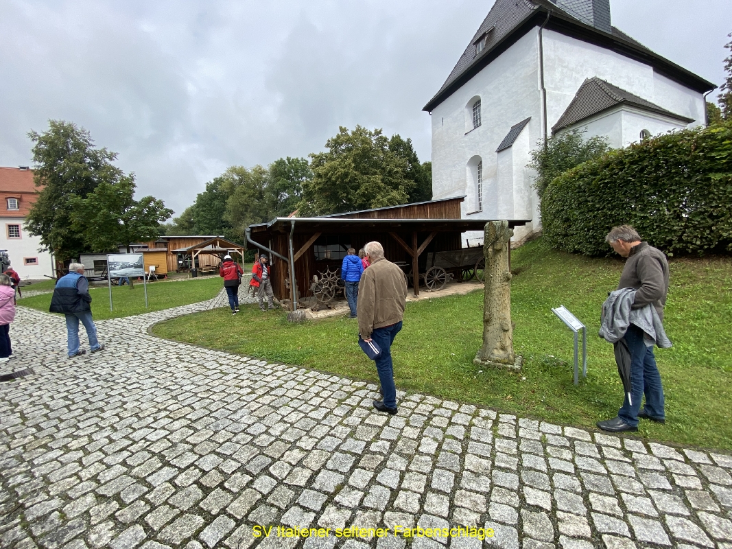 IMG-1065