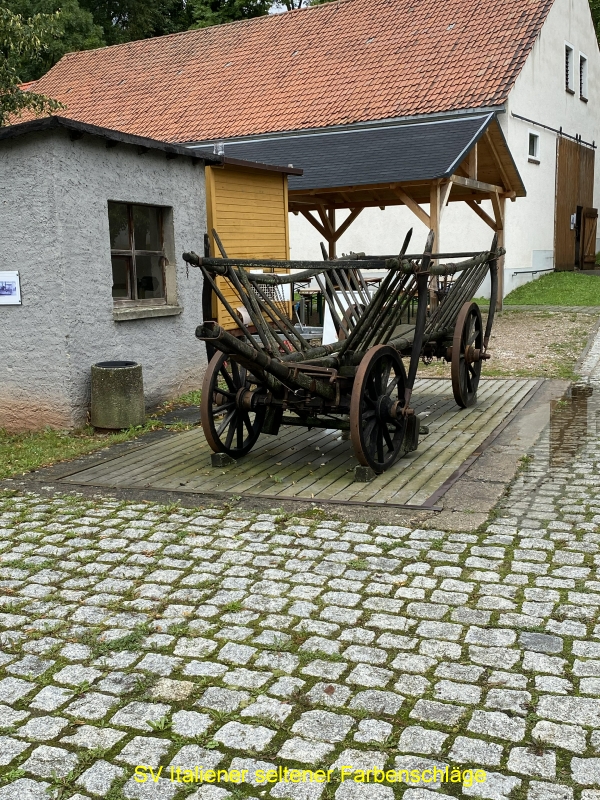 IMG-1069