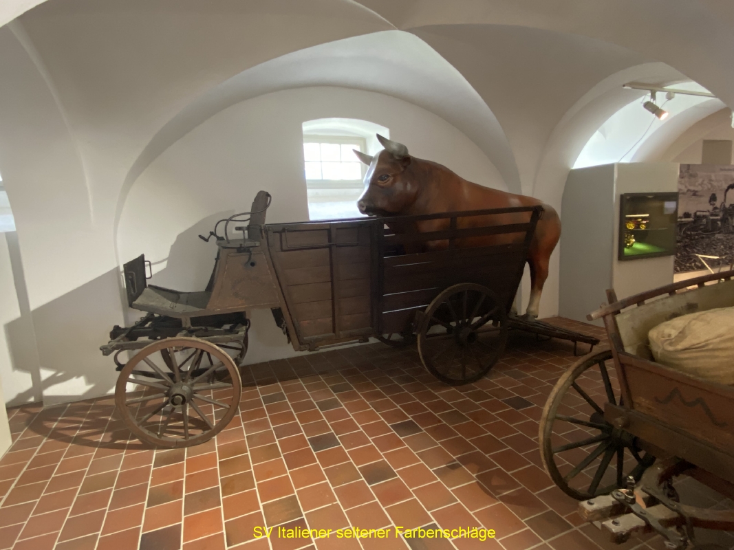 IMG-1075