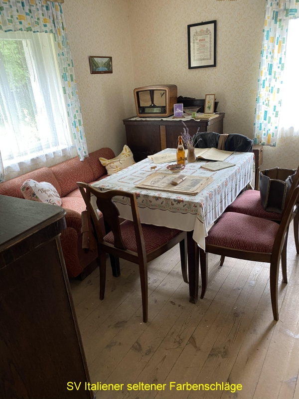 IMG-1129