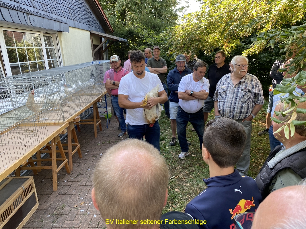 IMG-6724