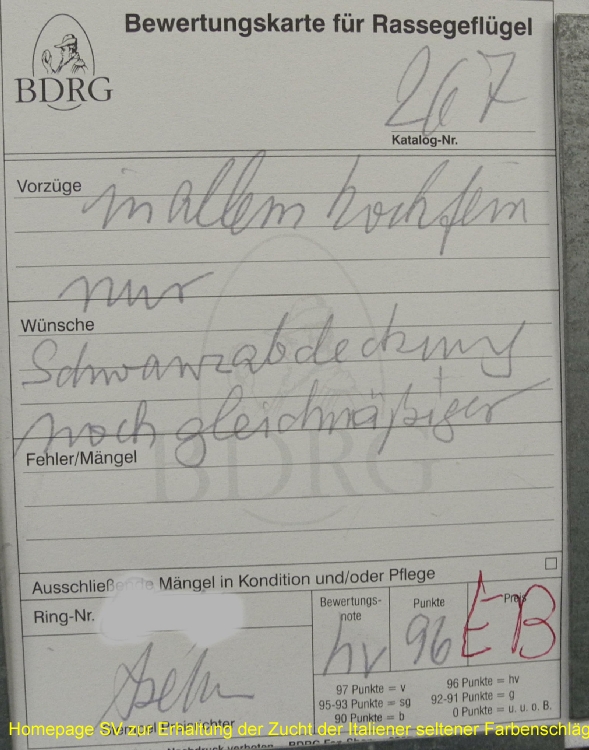 267_1_SS_Offenbach