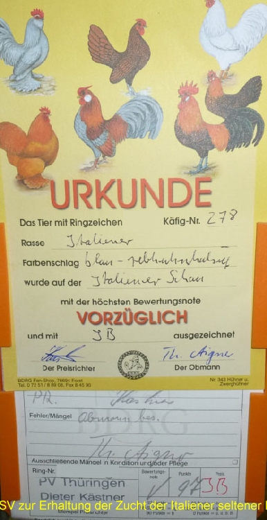 P1020929