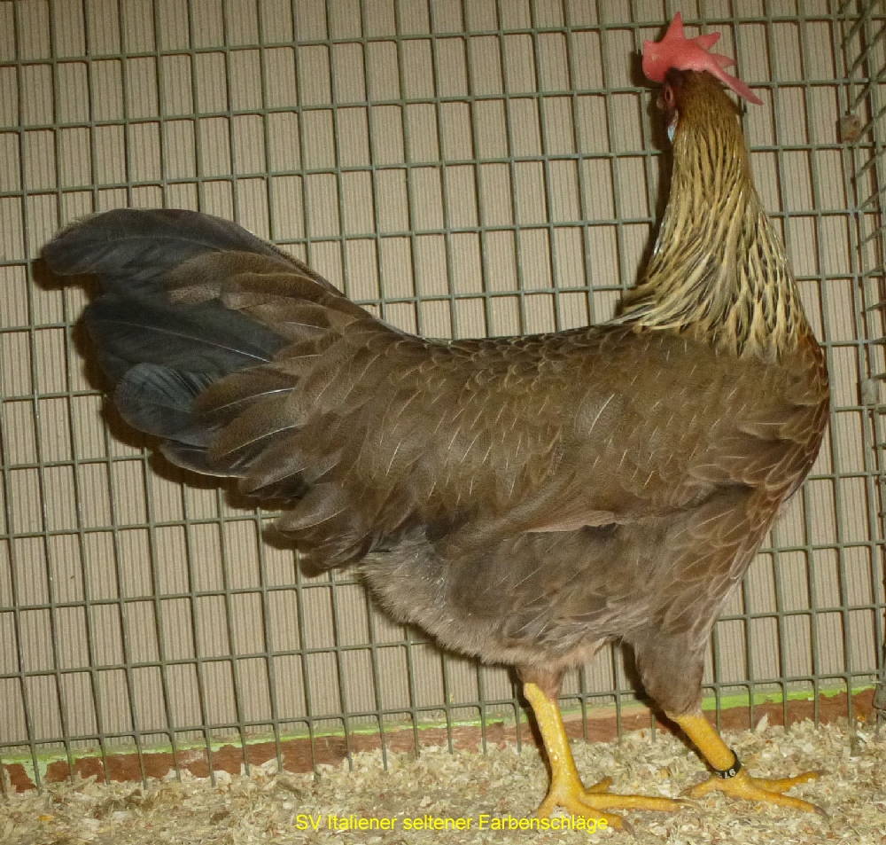 1581 2
