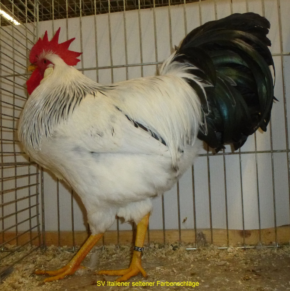 1616 2